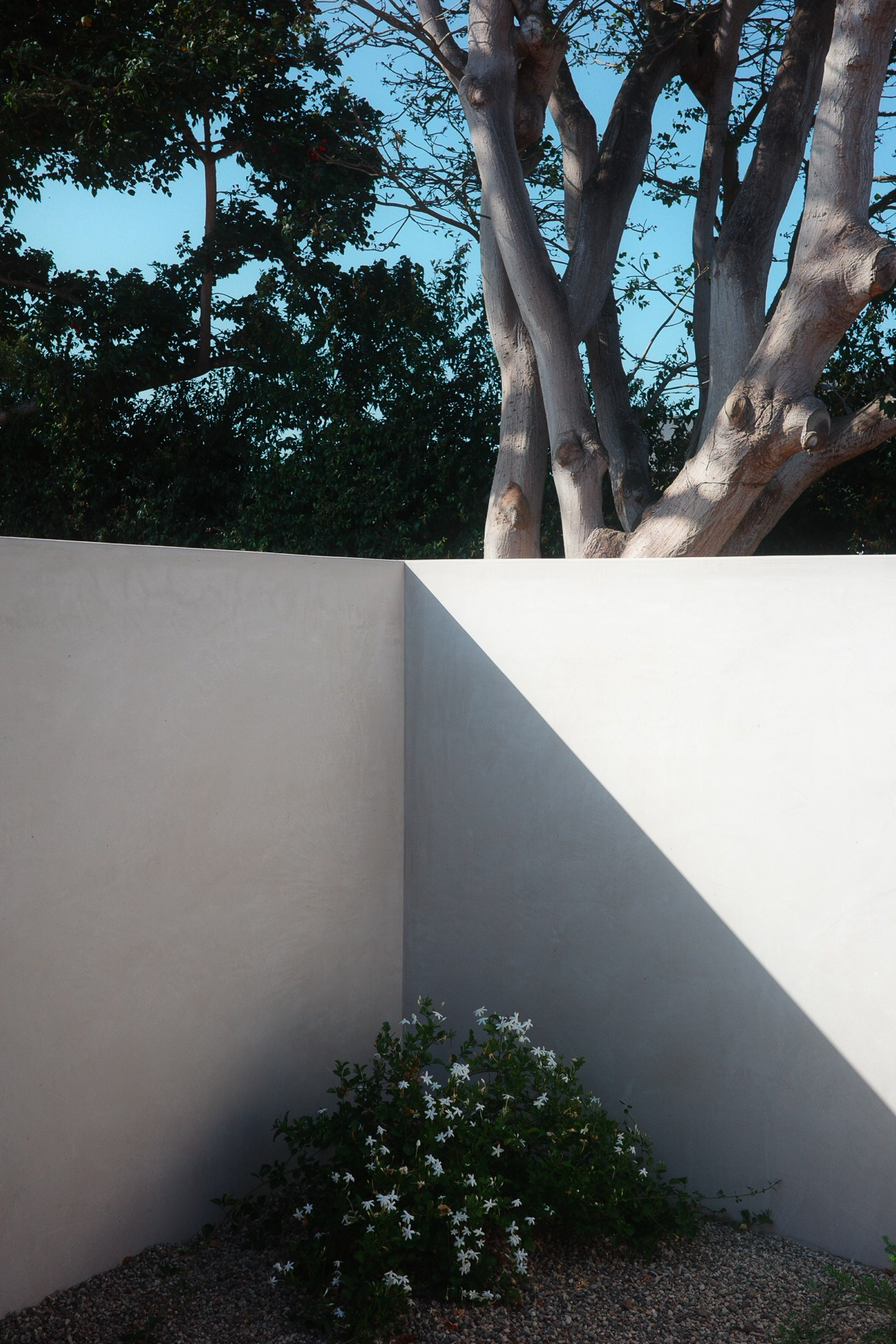 Hope Ranch courtyard wall and tree shadow