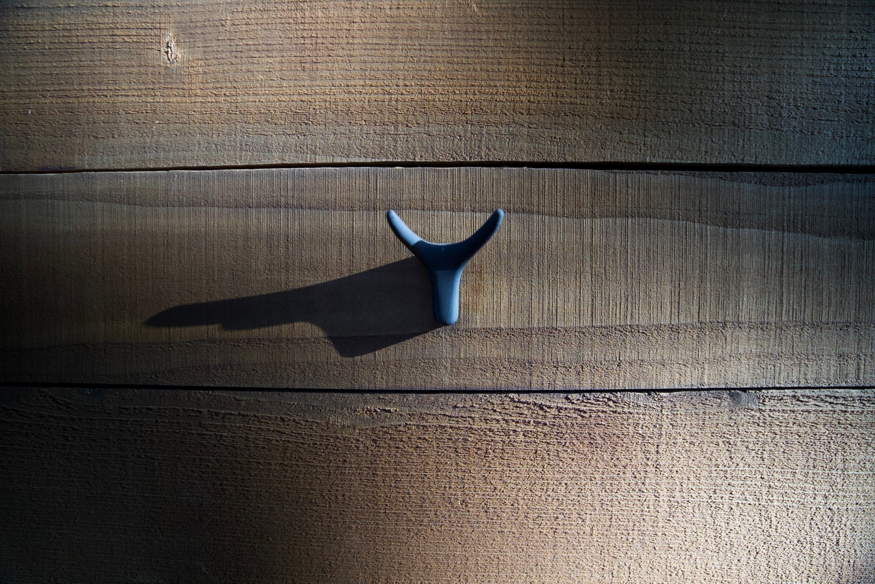 Blue hook on the cedar fence